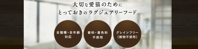 ���i���Ȑ������u�����h�����ґ�u�W���K�[�L���b�g�t�[�h�v���T�C�g